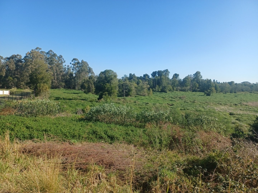 Commercial Property for Sale in Blanco Western Cape